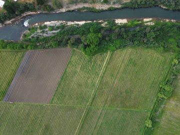 Parcela en venta  en PUERTO OCTAY