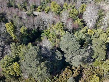 Parcela en venta  en VILLARRICA