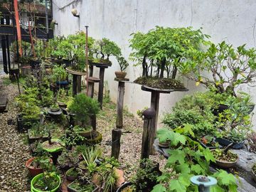 TERRENO EN VENTA EN SAN CRISTOBAL