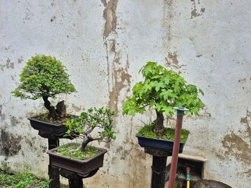 TERRENO EN VENTA EN SAN CRISTOBAL
