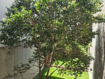 Venta Belgrano Jose Hernandez 2400 APTO CREDITO