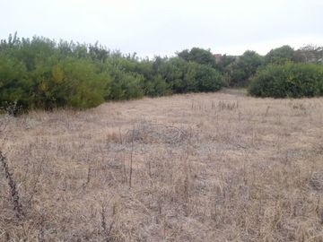 Lote Venta Costa Esmeralda Ecuestre