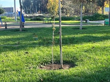 Casa ideal en Los Ángeles: cómoda y bien ubicada