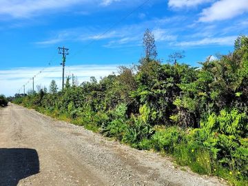 Se vende parcela de media hectarea en Chiloé