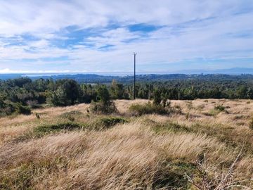 Se vende predio de 20 hectareas en Chiloé