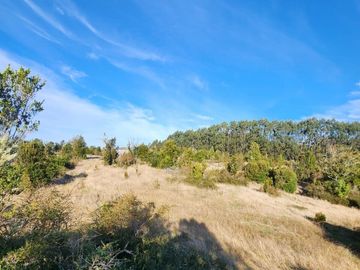 Se vende predio de 20 hectareas en Chiloé