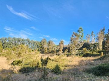 Se vende predio de 20 hectareas en Chiloé