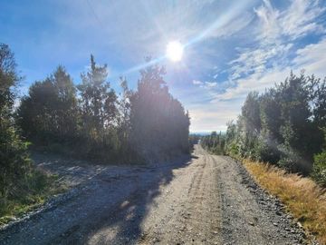 Se vende predio de 20 hectareas en Chiloé