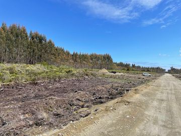Se venden parcelas a orilla de ruta 5, Ancud