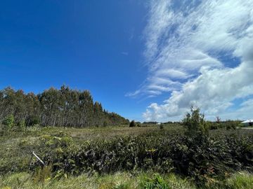 Se venden parcelas a orilla de ruta 5, Ancud