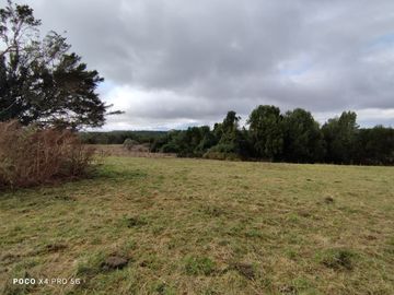 Se venden parcelas en Curamó, Ancud