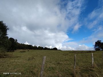Se venden parcelas en Curamó, Ancud