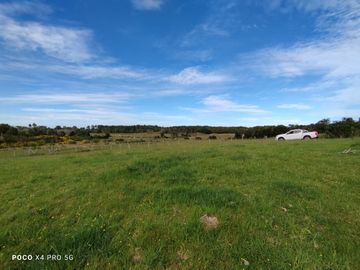 Se venden parcelas en Curamó, Ancud