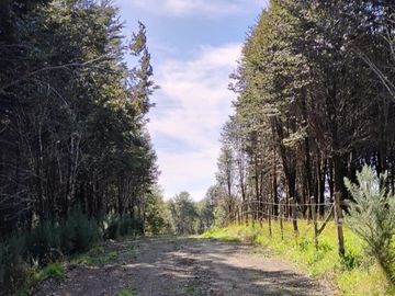 Se vende parcela a minutos de Ancud