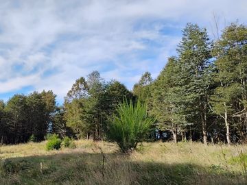 Se vende parcela a minutos de Ancud