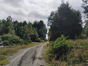Se venden parcelas en el sector de el Quilar, comuna de Ancud