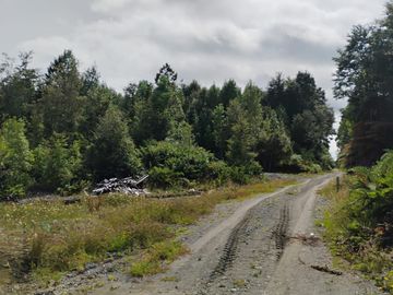 Se venden parcelas en el sector de el Quilar, comuna de Ancud
