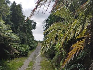 Se venden parcelas en el sector de el Quilar, comuna de Ancud