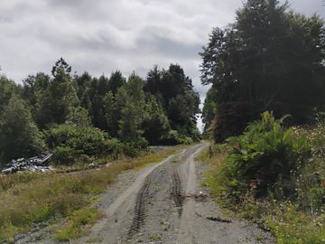 Se venden parcelas en el sector de el Quilar, comuna de Ancud