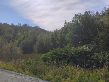 Se venden dos predios de 4 hectareas cada uno en Pumillahue, Ancud
