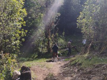 Se venden dos predios de 4 hectareas cada uno en Pumillahue, Ancud