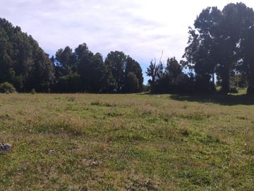 Se venden dos predios de 4 hectareas cada uno en Pumillahue, Ancud