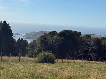 Se venden dos predios de 4 hectareas cada uno en Pumillahue, Ancud