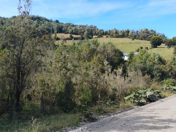 Se venden dos predios de 4 hectareas cada uno en Pumillahue, Ancud