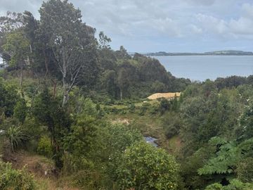 Se venden tres propiedades en Chiloé