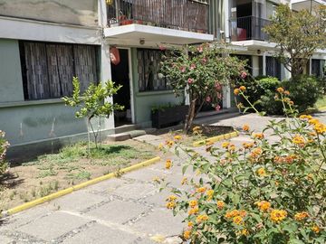 LINDO DEPARTAMENTO EN JUANA  DE  LESTONAC PROVIDENCIA