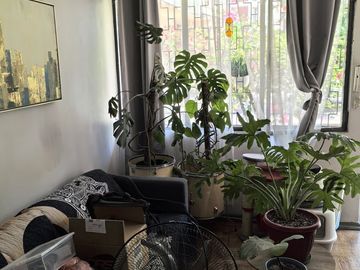 LINDO DEPARTAMENTO EN JUANA  DE  LESTONAC PROVIDENCIA