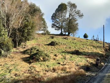 Se vende terreno de 26 hectareas en Chiloé