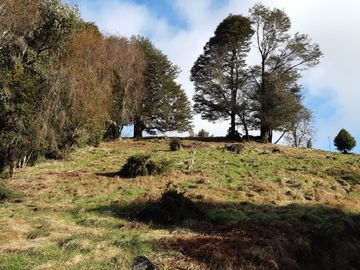 Se vende terreno de 26 hectareas en Chiloé