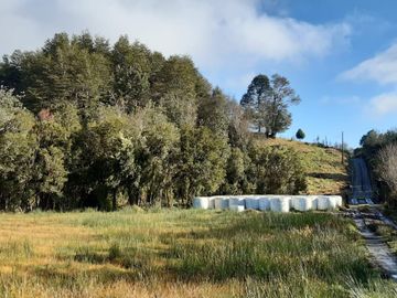 Se vende terreno de 26 hectareas en Chiloé