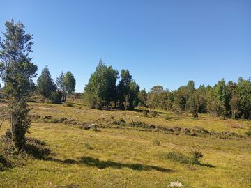 Se vende hermosa parcela en Quemchi