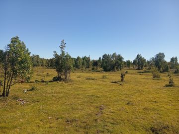 Se vende hermosa parcela en Quemchi