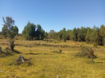 Se vende hermosa parcela en Quemchi