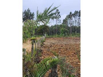 Se vende terreno industrial con proyecto listo en el sector de Caulín, comuna de Ancud