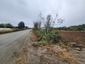 Se vende terreno industrial con proyecto listo en el sector de Caulín, comuna de Ancud