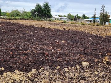 Se vende terreno industrial con proyecto listo en el sector de Caulín, comuna de Ancud