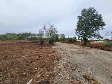 Se vende terreno industrial con proyecto listo en el sector de Caulín, comuna de Ancud