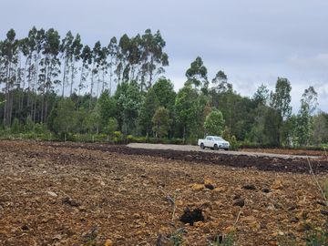 Se vende terreno industrial con proyecto listo en el sector de Caulín, comuna de Ancud