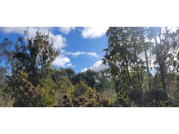 Se vende terreno de 3 hectareas en Chacao, Chiloé