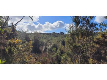 Se vende terreno de 3 hectareas en Chacao, Chiloé