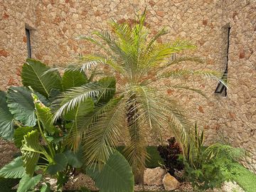 CASA EN VENTA MERIDA, TEMOZON NORTE, PRIVADA SOLUNA, ENTREGA INMEDIATA.