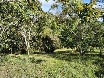 Lotes Exclusivos en Llanogrande Vilachuaga | 3.300 m²