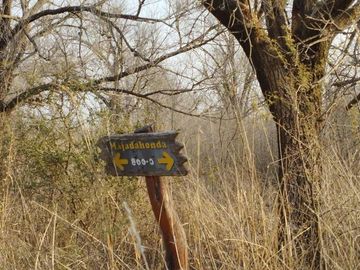 VENTA DE TERRENO 4913 M2 EN COSQUIN EL CONDADO