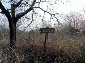 VENTA DE TERRENO 4913 M2 EN COSQUIN EL CONDADO