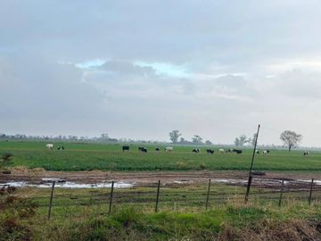 CAMPO MIXTO EN ALQUILER EN TOSTADO SANTA FE