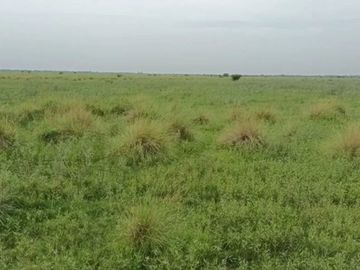 CAMPO MIXTO EN ALQUILER EN TOSTADO SANTA FE